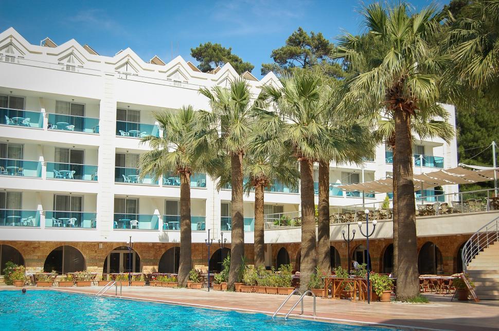 Free Image of Hotel Pool Surrounded by Palm Trees 