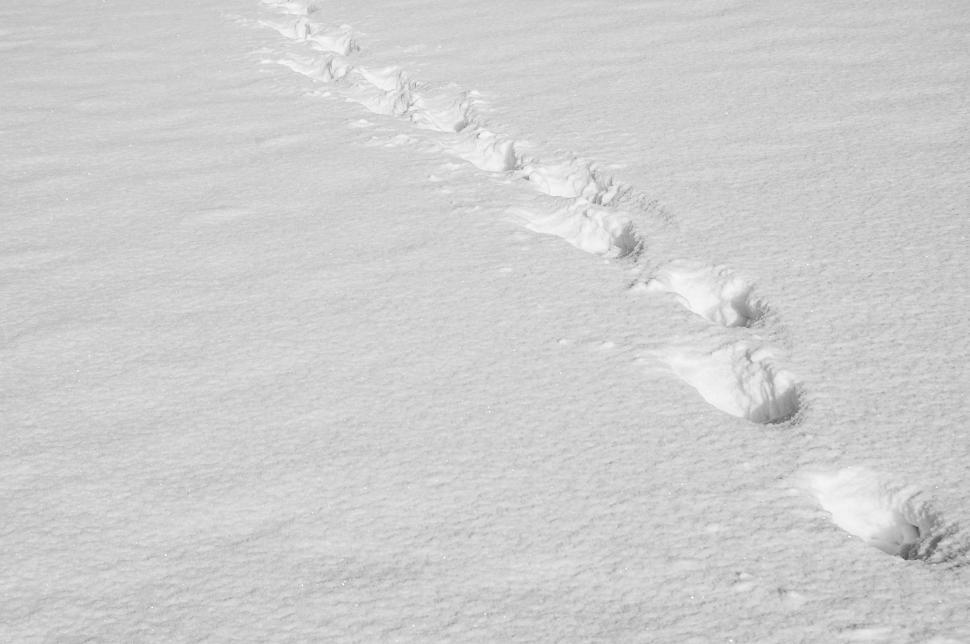 Free Stock Photo of Tracks in the snow Download Free Images and Free