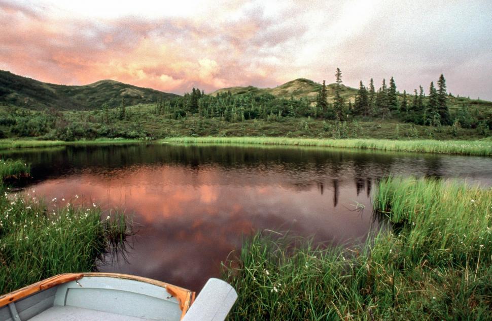 Free Image of Pond in Denali National Park 