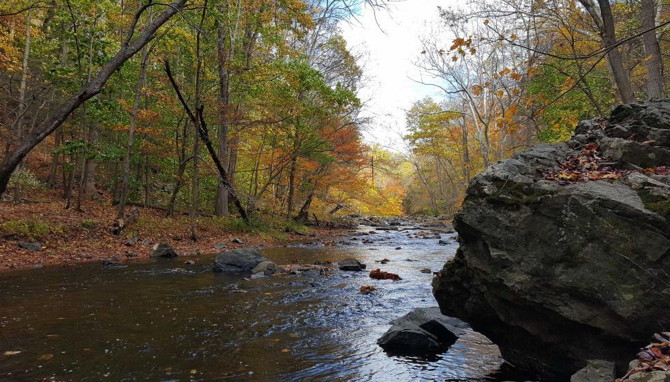 Free Stock Photo of Stream in Ken Lockwood Gorge in Autumn