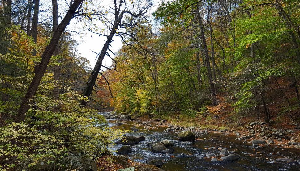 Free Stock Photo of Stream in Ken Lockwood Gorge in Autumn