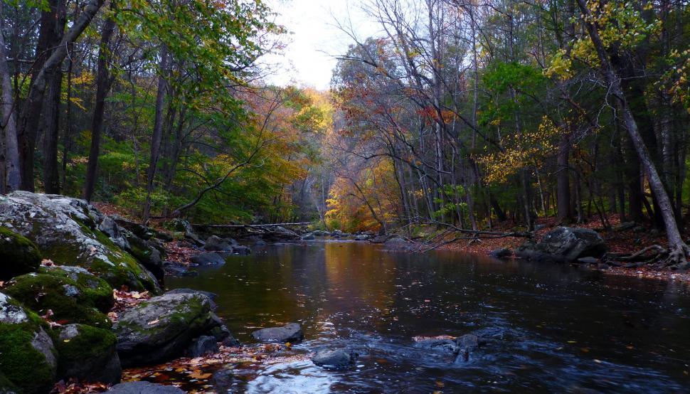 Free Stock Photo of Stream in Ken Lockwood Gorge in Autumn