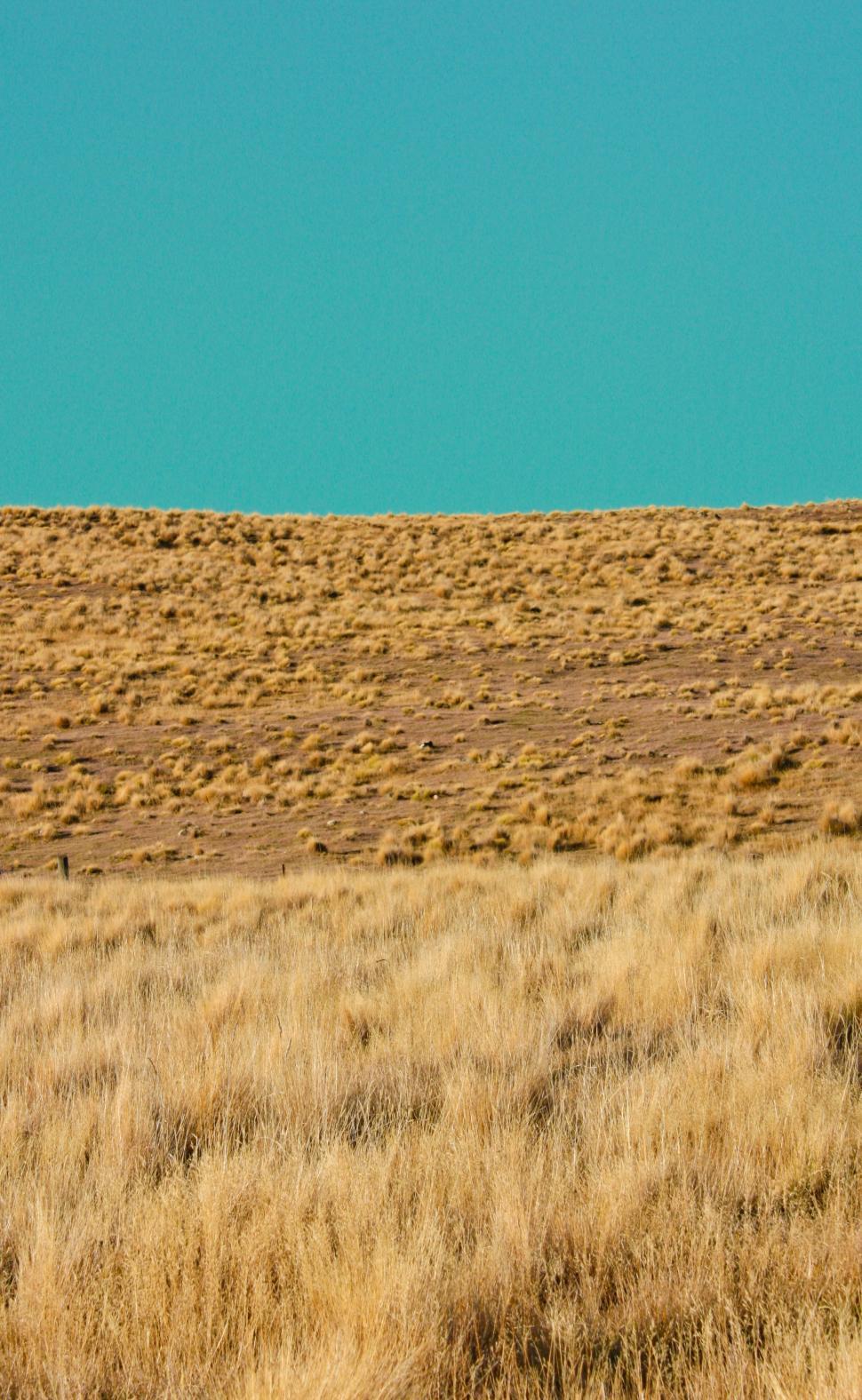 Free Stock Photo of Grass and lake Download Free Images and Free