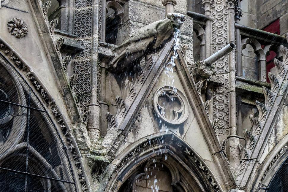Free Image of Skupper at Notre Dame 