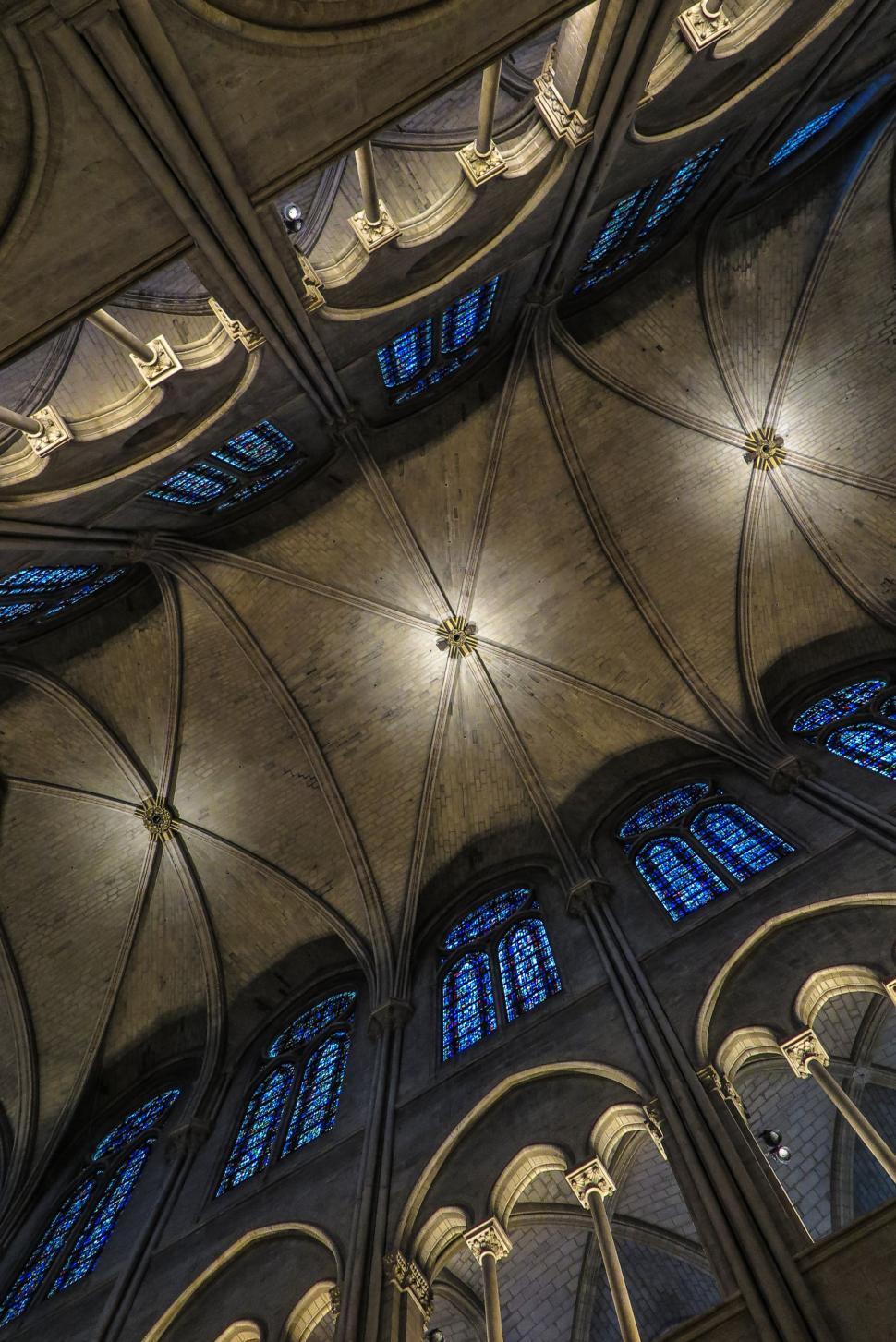 Notre Dame Cathedral Vaulted Ceiling Shelly Lighting