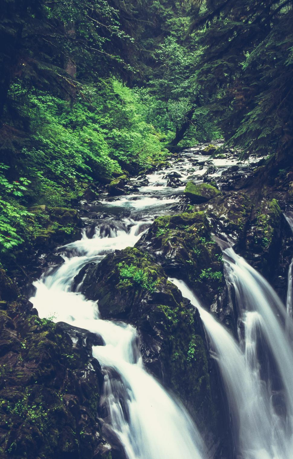 Free Image of Water Fall - Sol Duc Falls 