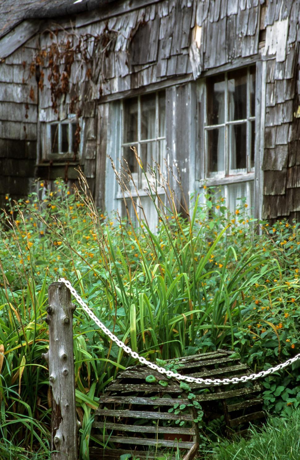 Free Image of Side yard garden 