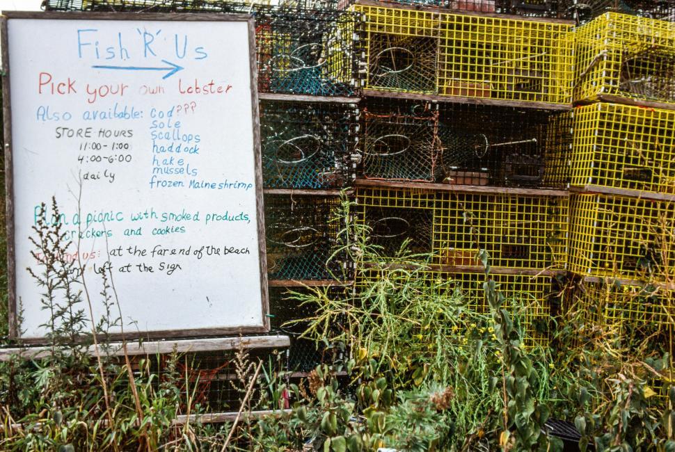 Free Image of Hand made white Rate Board and Lobster trap cages 