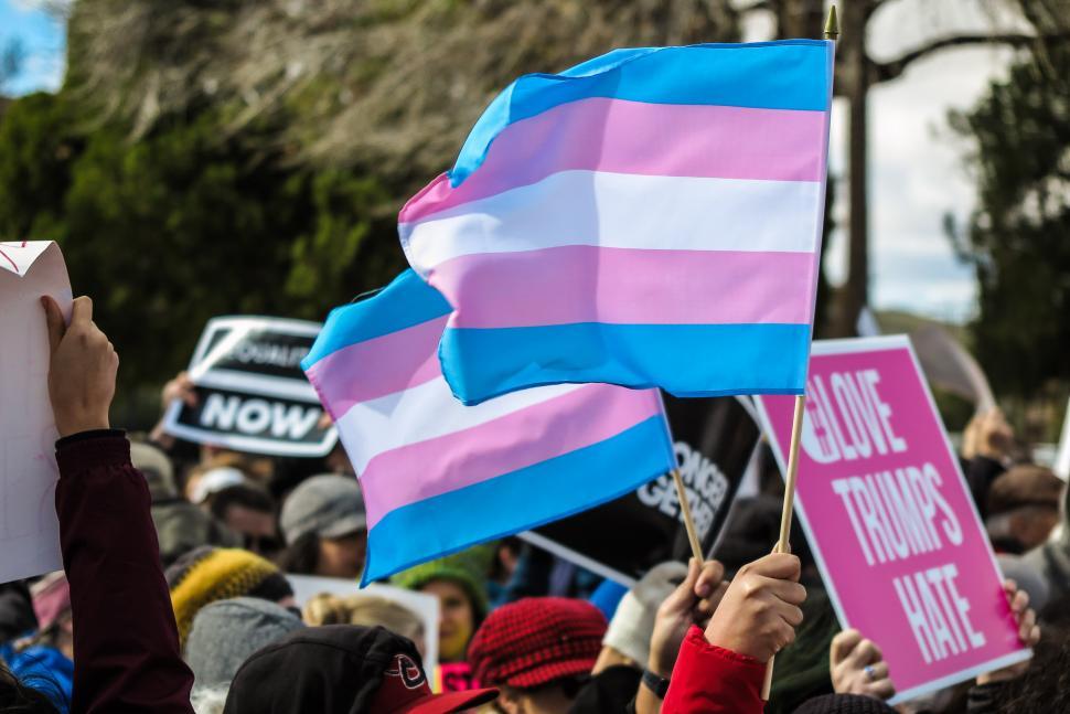 Get Free Stock Photos of Transgender rights flag Online ...