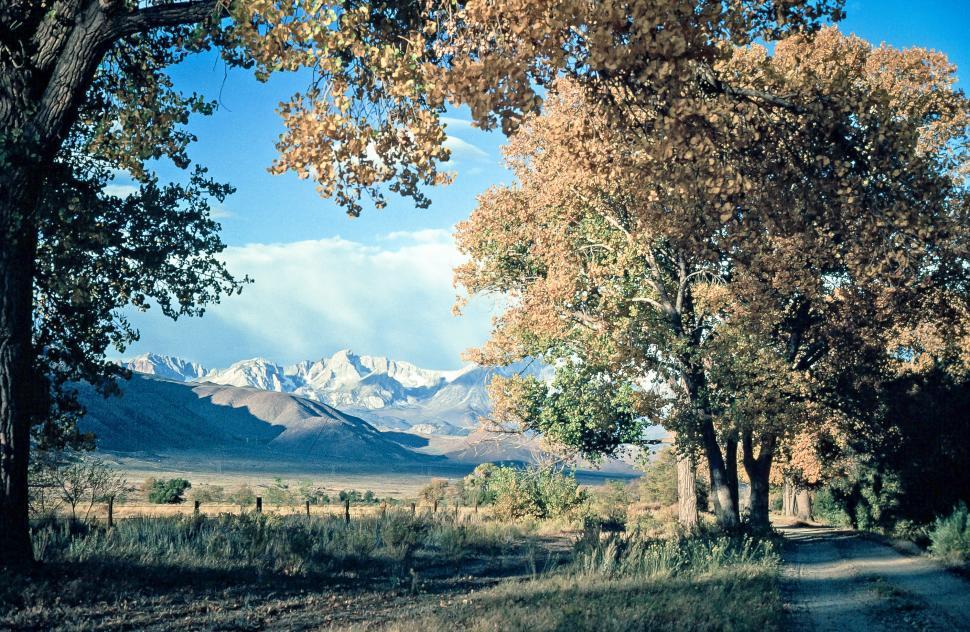 Free Stock Photo Of Inyo National Forest | Download Free Images And ...