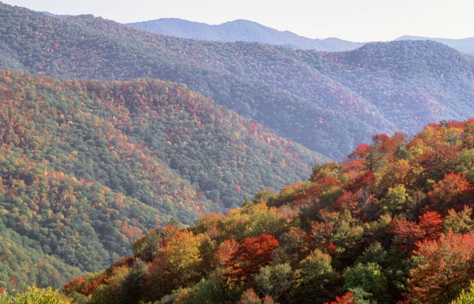 Free Image of Black Balsam Knob fall colors 