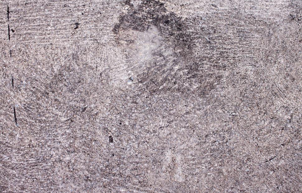 Free Image of Black and White Close-Up of Tree Trunk 