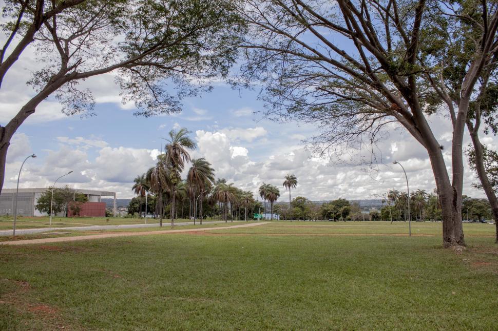 Free Image of Open campus 