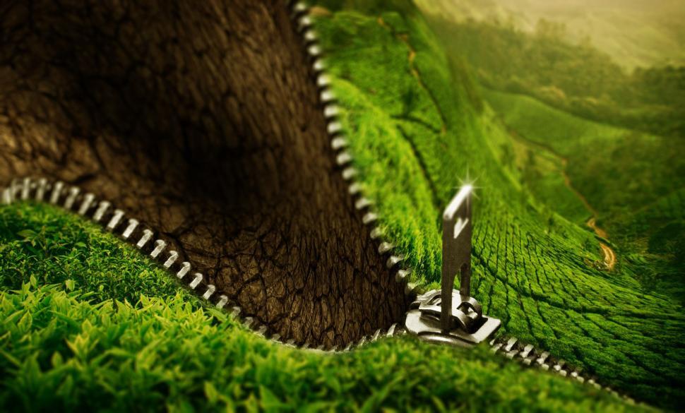 tree-with-scissors.jpg