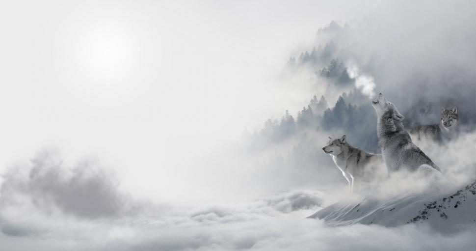Free Image of Mountain Peak Piercing Through Clouds 