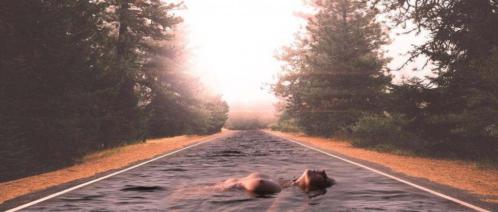 Free Image of Tree-Lined Road Stretching Into the Distance 