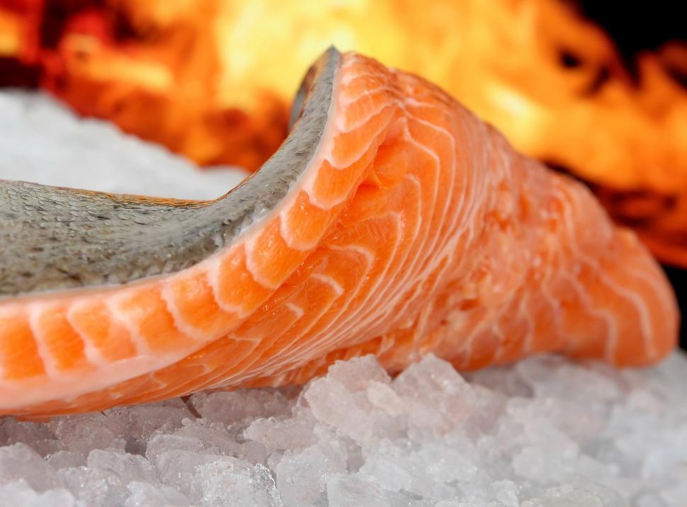 Free Stock Photo of Close Up of Fresh Fish on Ice | Download Free ...