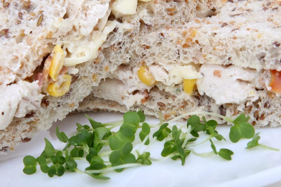Free Image of Close Up of a Sandwich on a Plate 