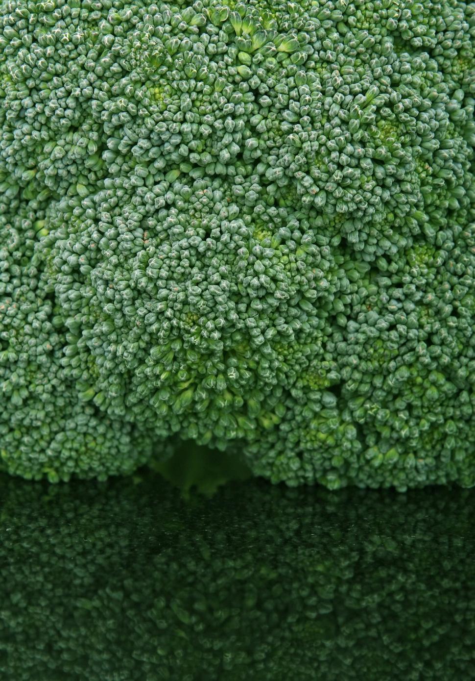 Free Stock Photo of broccoli vegetable plant cruciferous vegetable leaf