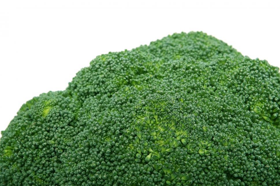 Free Image of A Pile of Broccoli on a White Background 