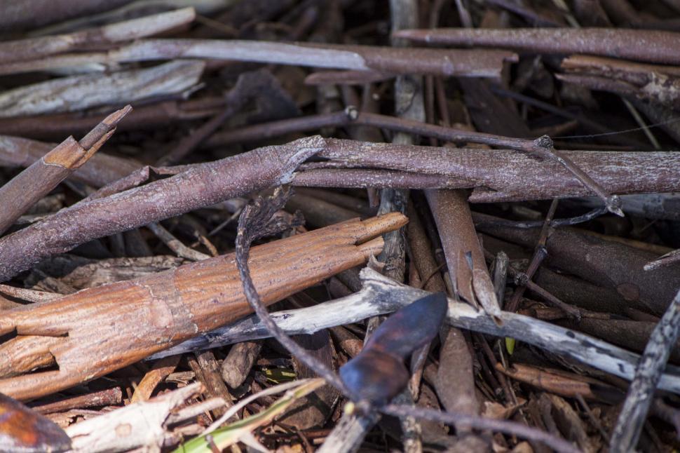 Free Image of Wood chips 