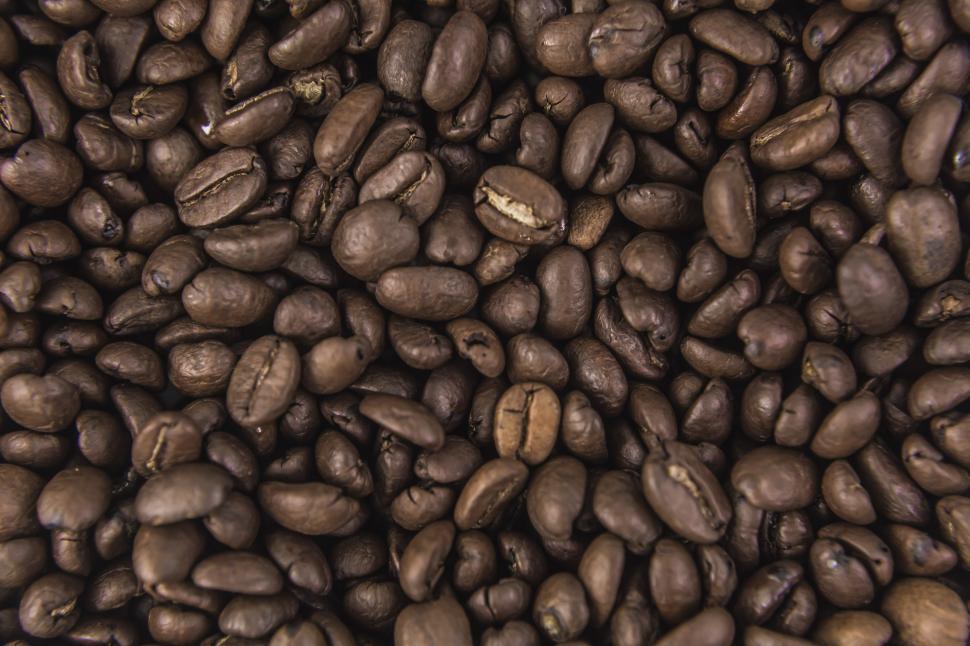 coffee beans online