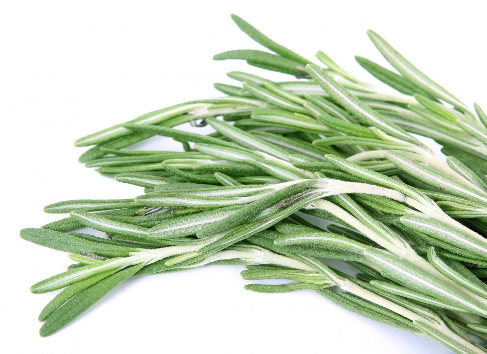 Free Image of Green Leaves Spread Across White Surface 