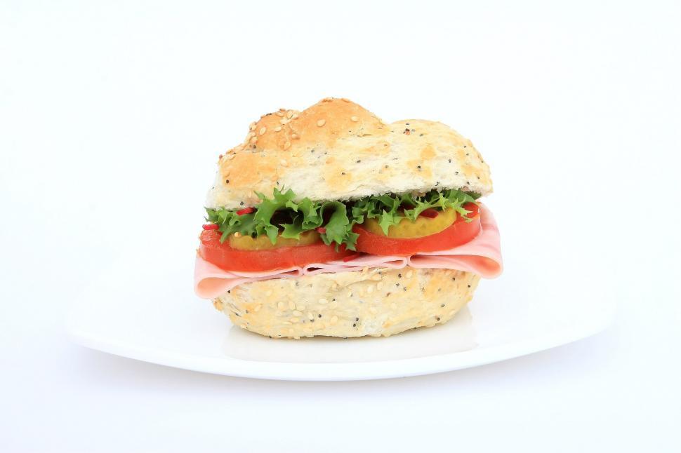 Free Image of Sandwich on a White Plate 