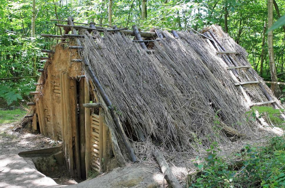 Free Image of A Wooden and Grass Hut in the Woods 