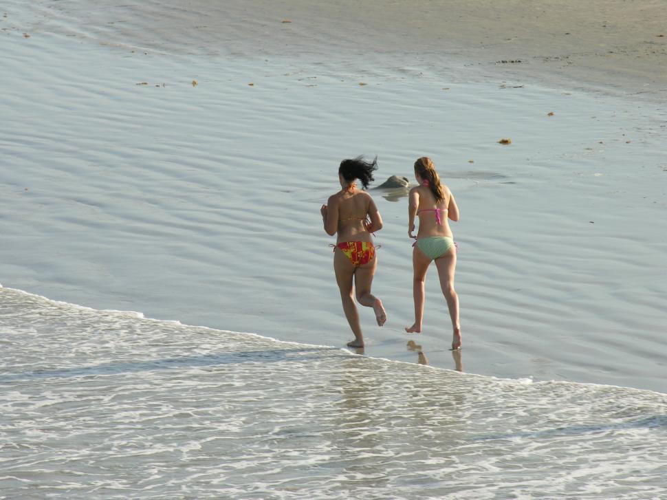 Free Image of A day at the beach 