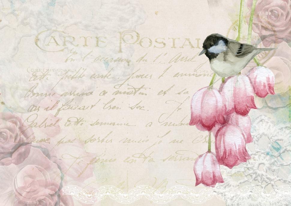 Free Image of Bird Perched on Top of Pink Flower 