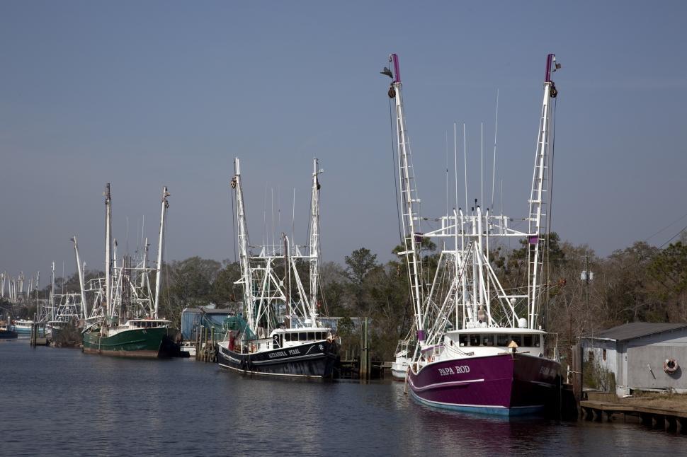 Free Image of Group of Boats Floating in Water 