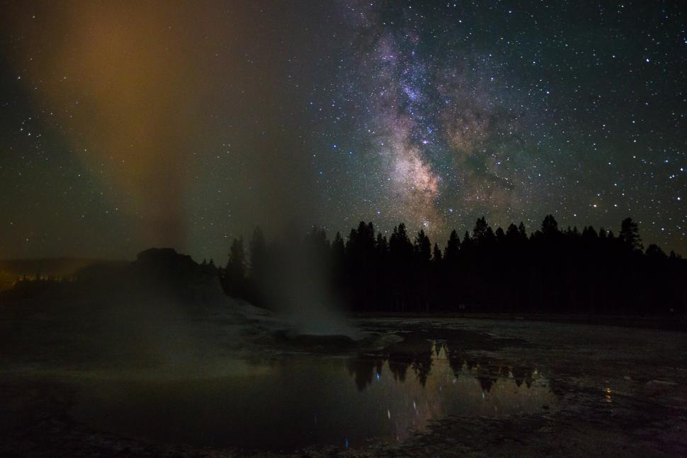 Free Image of Night Sky Filled With Stars and Trees 