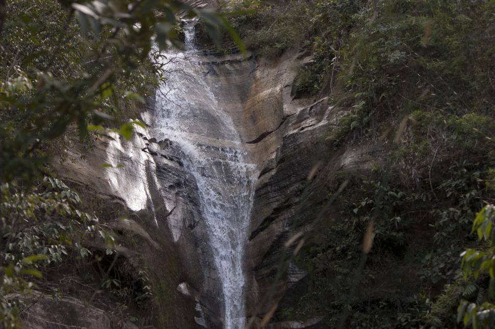 Free Image of Waterfall Surrounded by Forest 