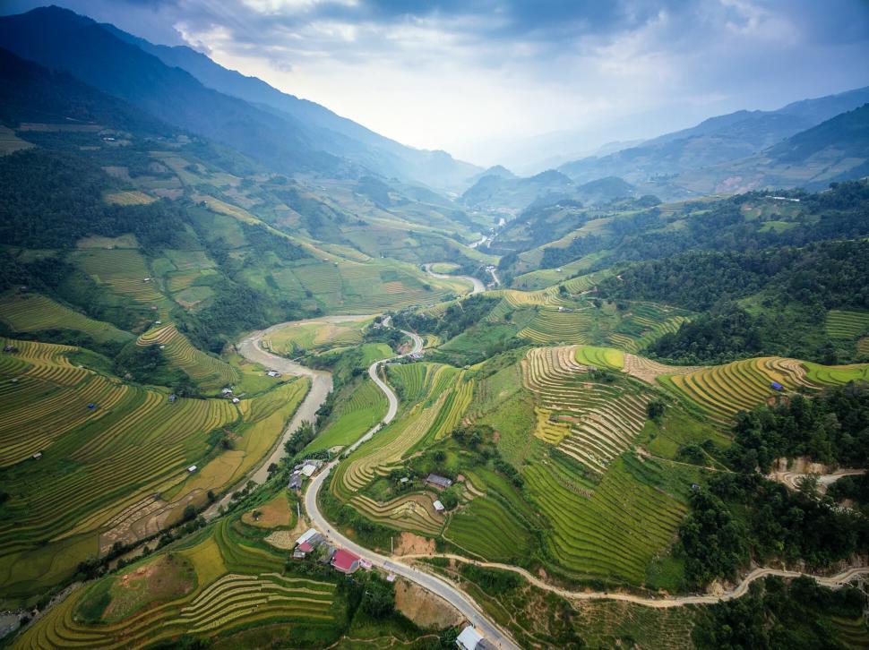 Free Stock Photo of Rice Plantation | Download Free Images and Free ...