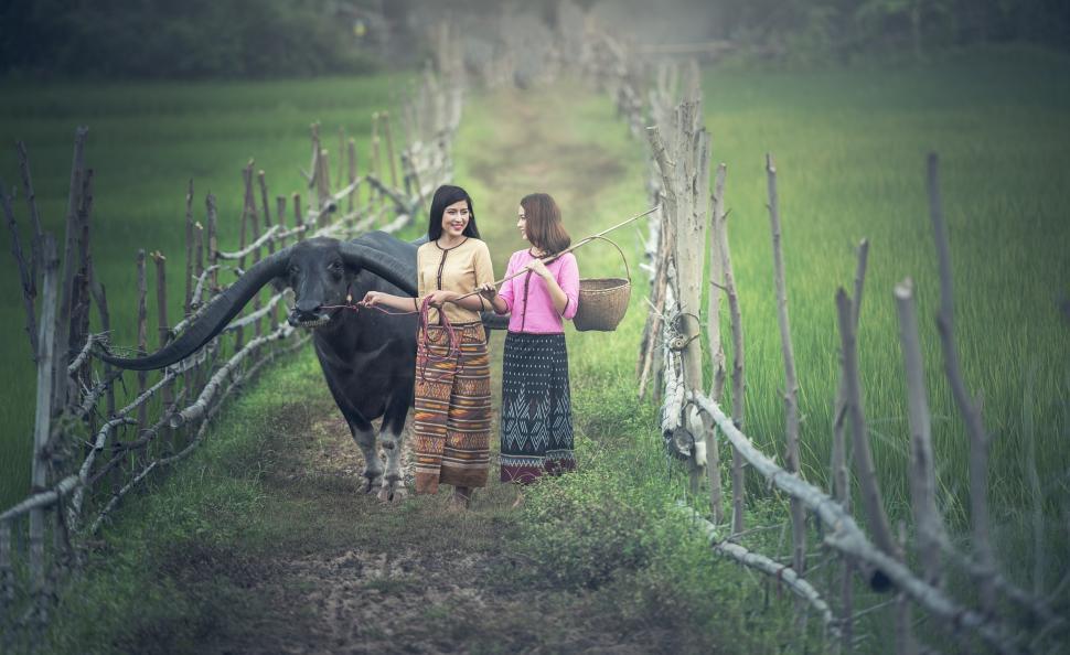 Free Image of Two Women Standing Next to a Cow in a Field 