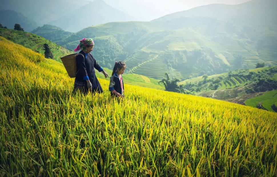 Free Image of Couple Walking Across Lush Green Field 