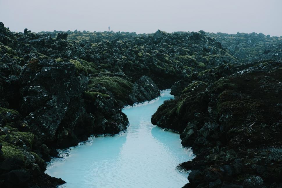 Free Image of River Flowing Through Lush Green Forest 