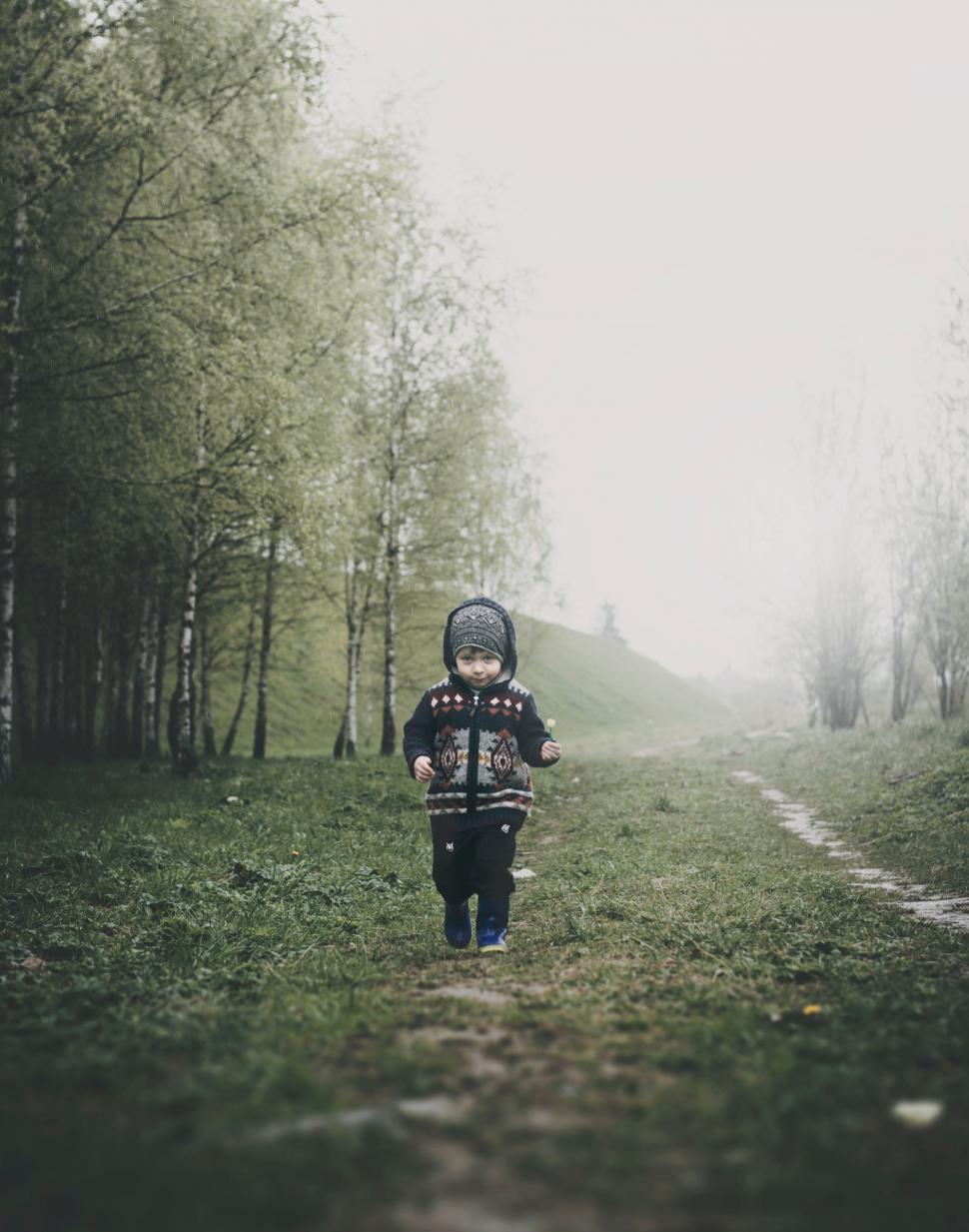 Free Image of Person Walking Down Dirt Road Next to Forest 