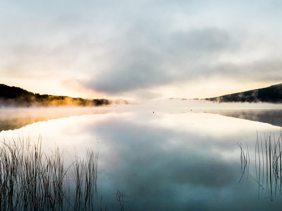 Free Image of Body of Water Surrounded by Tall Grass 