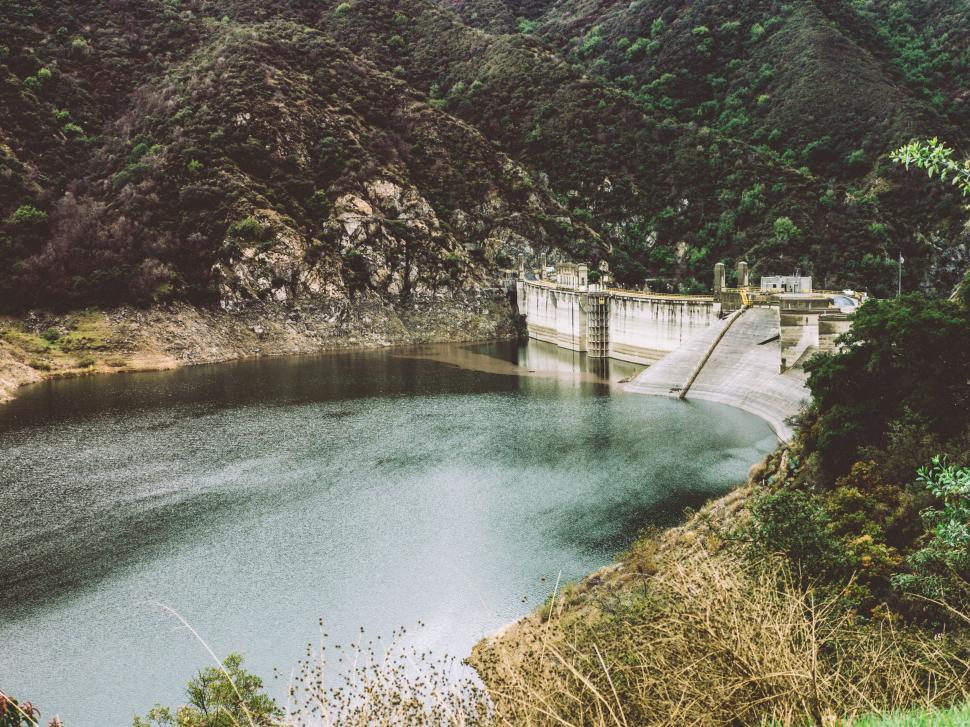 Free Image of Lush Forest Surrounding Expansive Body of Water 
