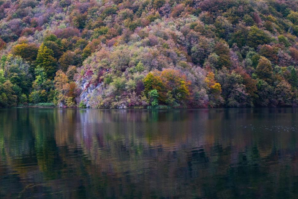 Free Image of Large Body of Water Surrounded by Trees 