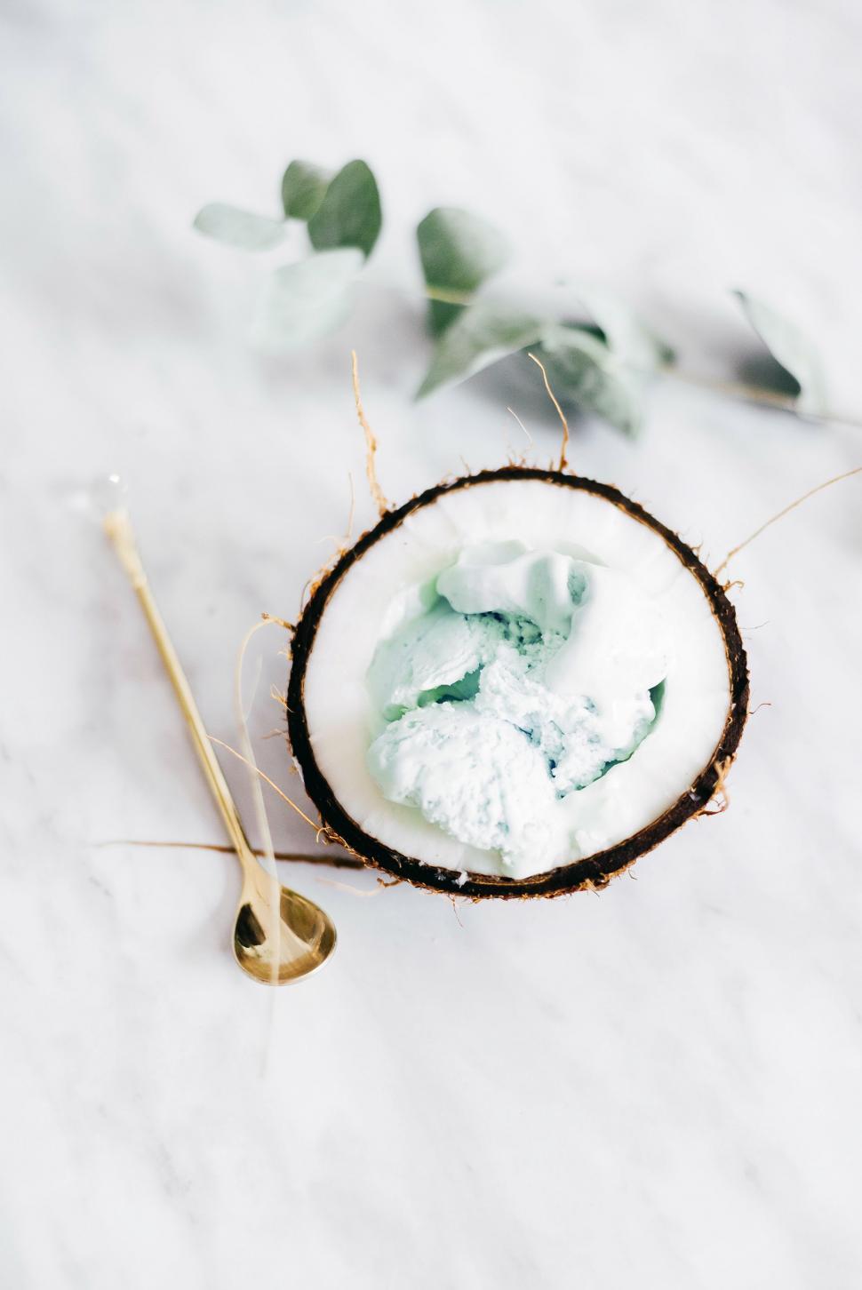Free Image of Coconut Filled With White Flesh 