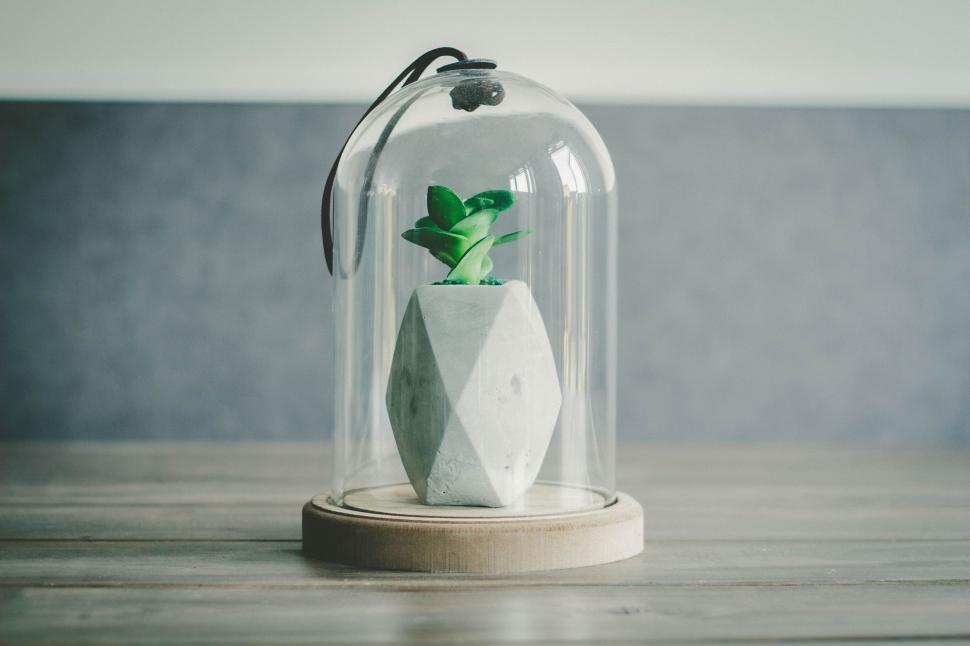 Free Image of White Vase With Green Plant Inside 