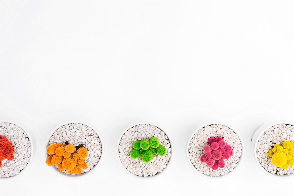 Free Image of Assorted Plates With Colorful Food 