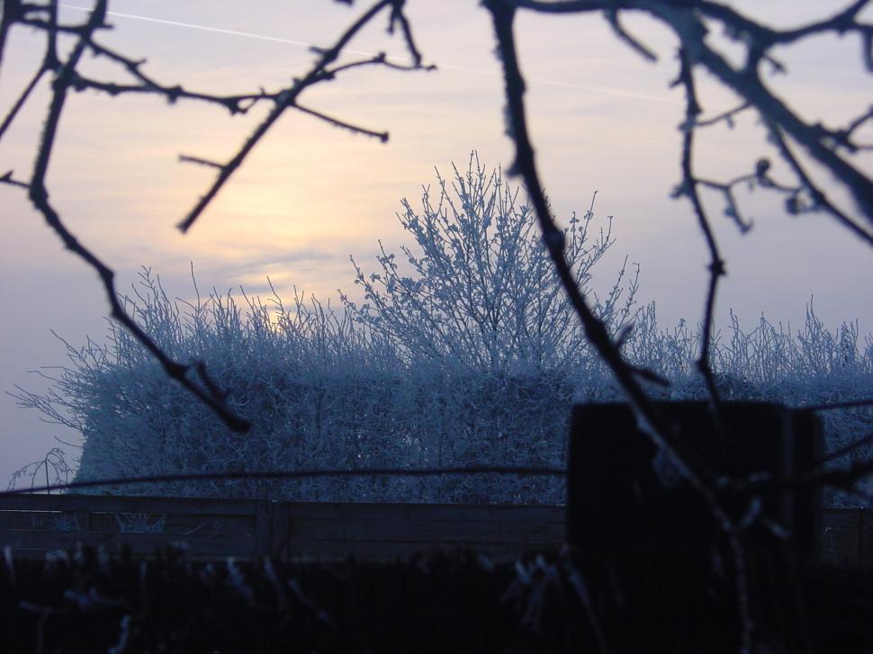 Free Image of the white world 