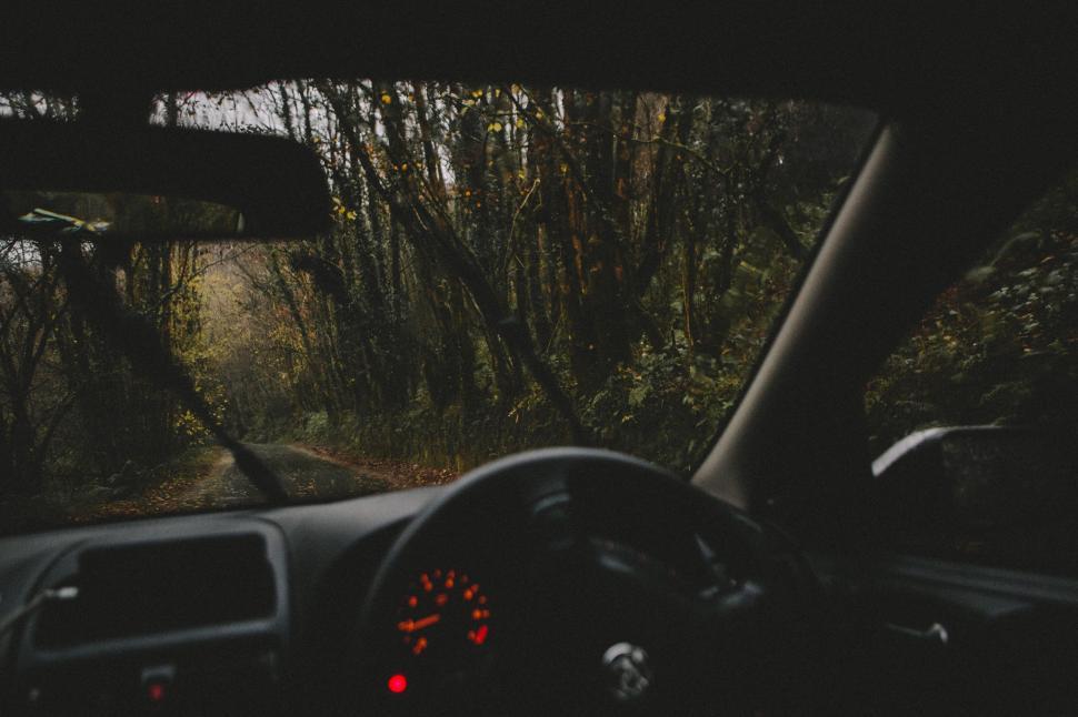Dashboard Warning Lights Decoded: Your Essential Guide to Understanding Vehicle Alerts and When to Act Now