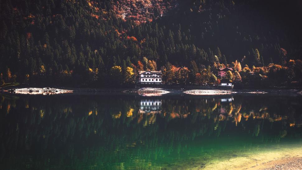 Free Image of Water Body Surrounded by Forest 