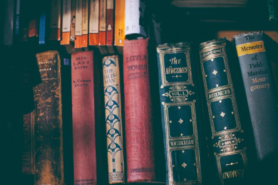 Free Image of Row of Books on Shelf 