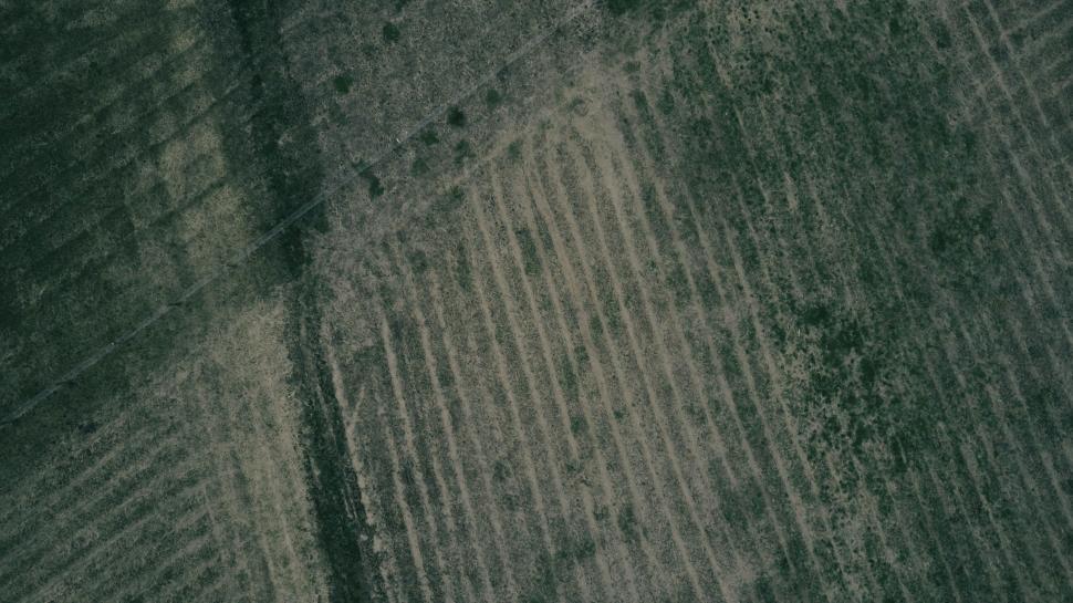 Free Image of A Monochrome Field Landscape 